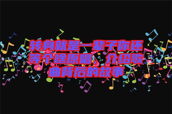 轉身就是一輩子你還等個啥原唱，介紹歌曲背后的故事