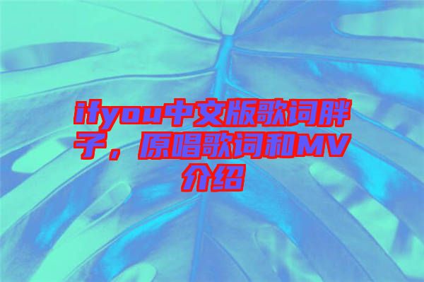 ifyou中文版歌詞胖子，原唱歌詞和MV介紹