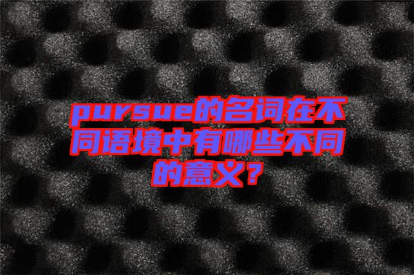 pursue的名詞在不同語境中有哪些不同的意義？