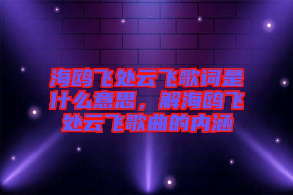 海鷗飛處云飛歌詞是什么意思，解海鷗飛處云飛歌曲的內(nèi)涵