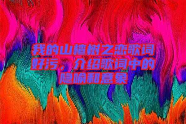 我的山楂樹之戀歌詞好污，介紹歌詞中的隱喻和意象