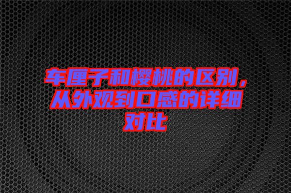 車?yán)遄雍蜋烟业膮^(qū)別，從外觀到口感的詳細(xì)對(duì)比