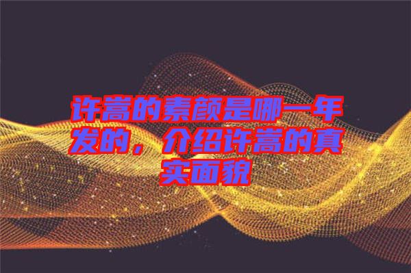 許嵩的素顏是哪一年發(fā)的，介紹許嵩的真實(shí)面貌