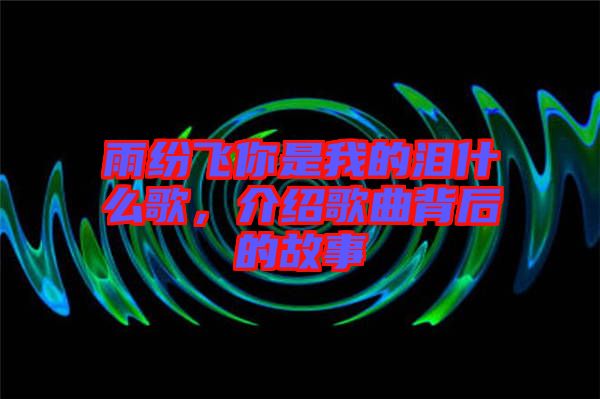 雨紛飛你是我的淚什么歌，介紹歌曲背后的故事