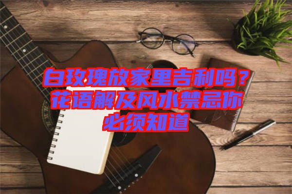 白玫瑰放家里吉利嗎？花語(yǔ)解及風(fēng)水禁忌你必須知道