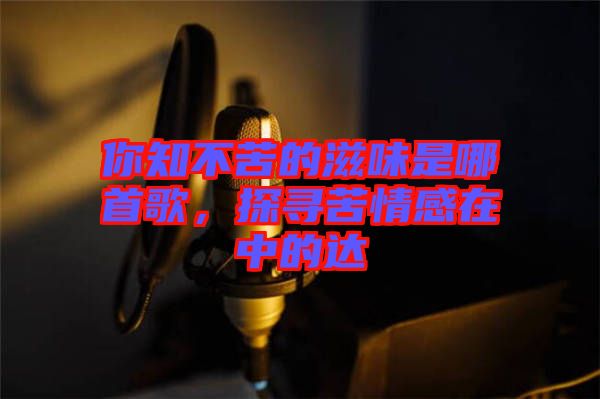 你知不苦的滋味是哪首歌，探尋苦情感在中的達