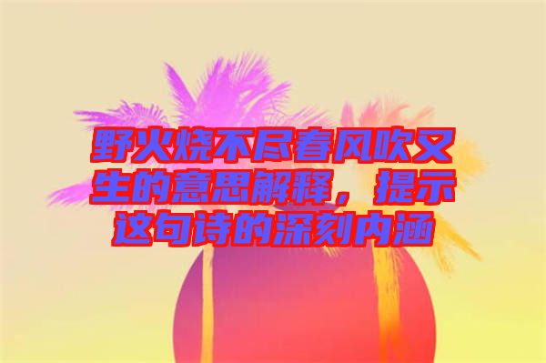 野火燒不盡春風(fēng)吹又生的意思解釋，提示這句詩的深刻內(nèi)涵