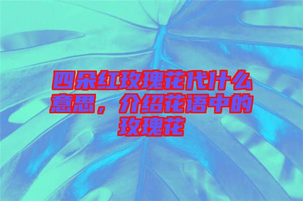 四朵紅玫瑰花代什么意思，介紹花語中的玫瑰花