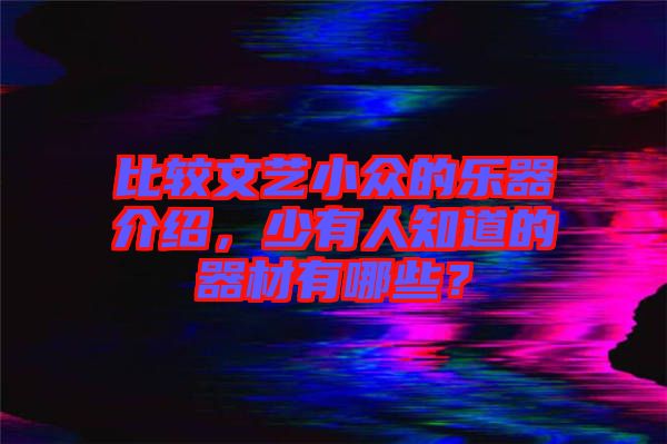 比較文藝小眾的樂(lè)器介紹，少有人知道的器材有哪些？