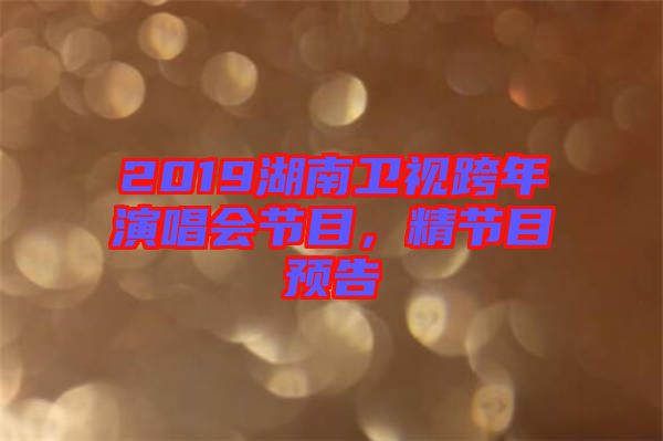 2019湖南衛(wèi)視跨年演唱會(huì)節(jié)目，精節(jié)目預(yù)告