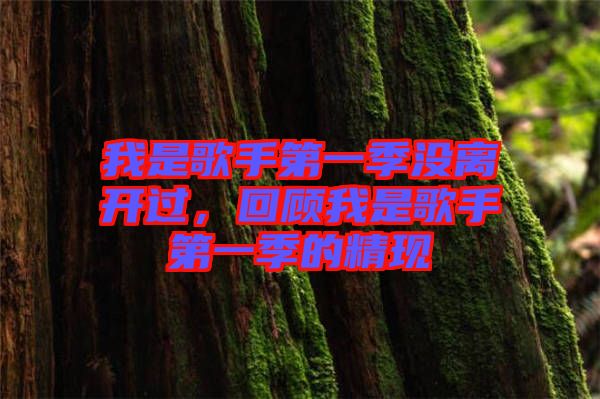 我是歌手第一季沒離開過，回顧我是歌手第一季的精現(xiàn)