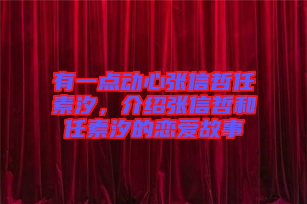 有一點動心張信哲任素汐，介紹張信哲和任素汐的戀愛故事