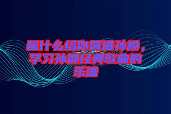 留什么給你簡(jiǎn)譜孫楠，學(xué)習(xí)孫楠經(jīng)典歌曲的樂(lè)譜