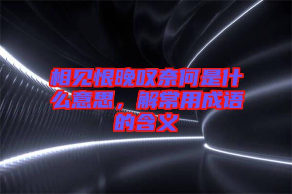 相見恨晚嘆奈何是什么意思，解常用成語的含義