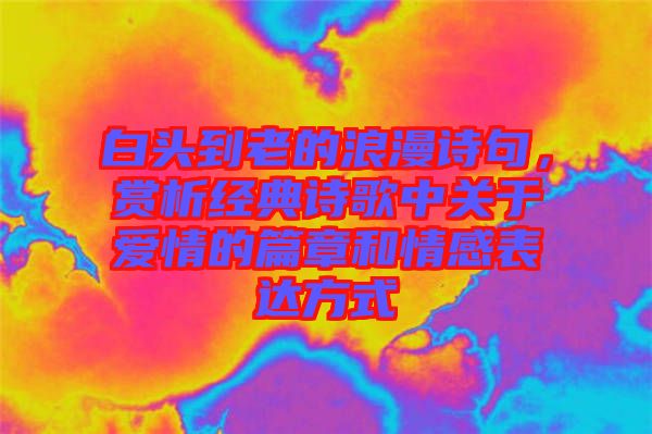 白頭到老的浪漫詩句，賞析經(jīng)典詩歌中關(guān)于愛情的篇章和情感表達方式