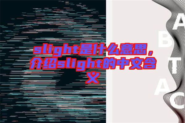 slight是什么意思，介紹slight的中文含義