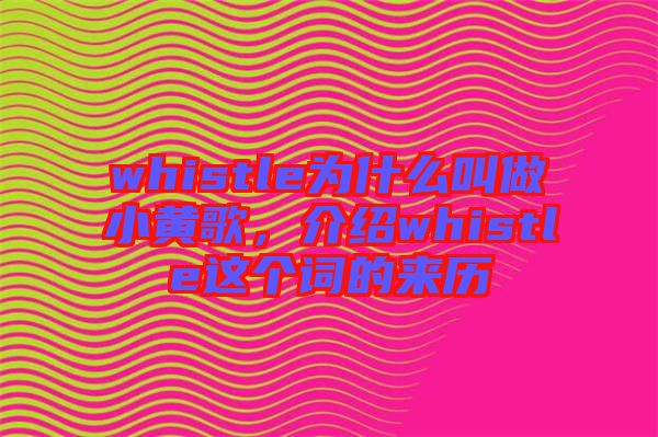 whistle為什么叫做小黃歌，介紹whistle這個詞的來歷