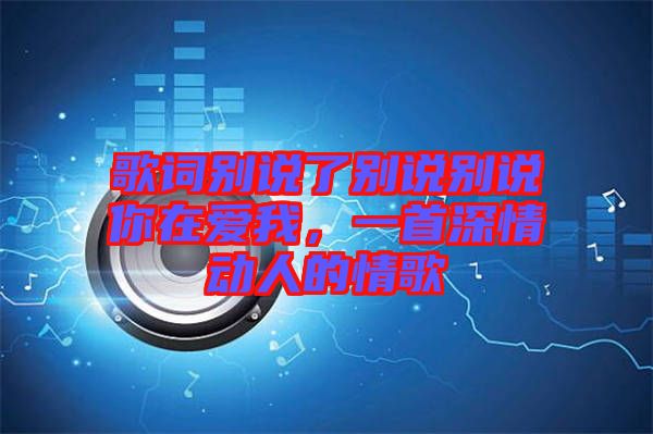 歌詞別說了別說別說你在愛我，一首深情動人的情歌