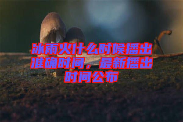 冰雨火什么時(shí)候播出準(zhǔn)確時(shí)間，最新播出時(shí)間公布