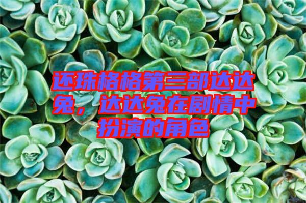 還珠格格第三部達(dá)達(dá)兔，達(dá)達(dá)兔在劇情中扮演的角色