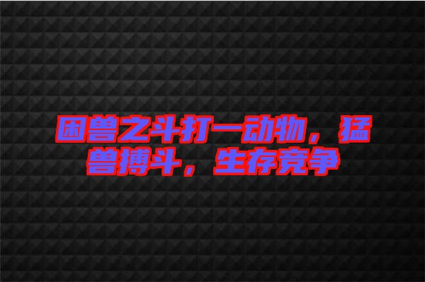 困獸之斗打一動物，猛獸搏斗，生存競爭