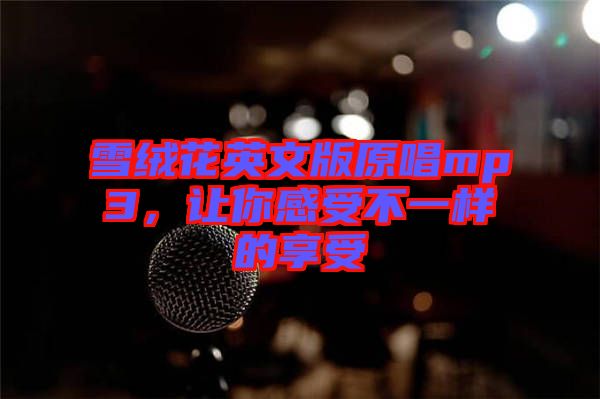 雪絨花英文版原唱mp3，讓你感受不一樣的享受