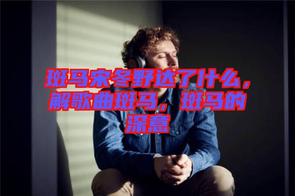 斑馬宋冬野達(dá)了什么，解歌曲斑馬，斑馬的深意