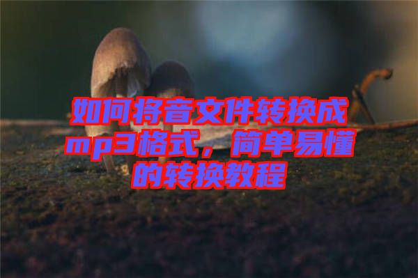 如何將音文件轉換成mp3格式，簡單易懂的轉換教程