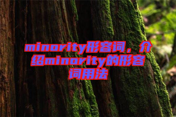 minority形容詞，介紹minority的形容詞用法