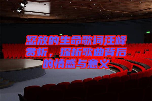 怒放的生命歌詞汪峰賞析，探析歌曲背后的情感與意義