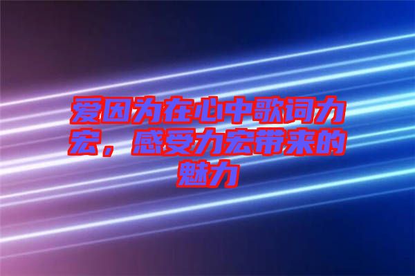 愛因為在心中歌詞力宏，感受力宏帶來的魅力