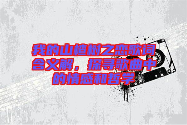 我的山楂樹之戀歌詞含義解，探尋歌曲中的情感和哲學(xué)