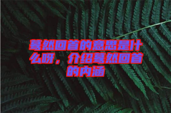 驀然回首的意思是什么呀，介紹驀然回首的內(nèi)涵