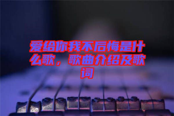 愛給你我不后悔是什么歌，歌曲介紹及歌詞