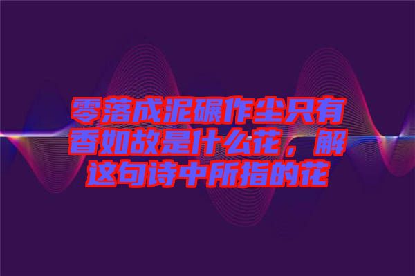 零落成泥碾作塵只有香如故是什么花，解這句詩中所指的花