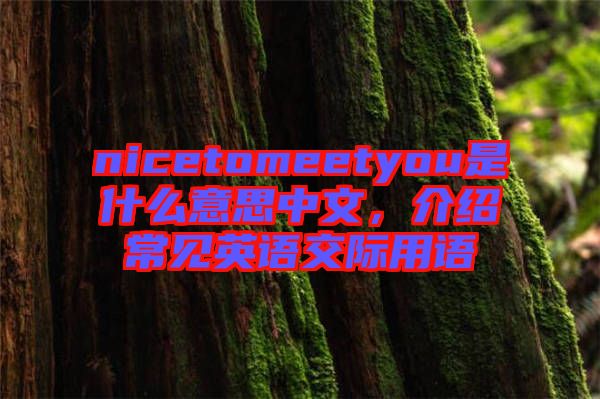 nicetomeetyou是什么意思中文，介紹常見英語交際用語