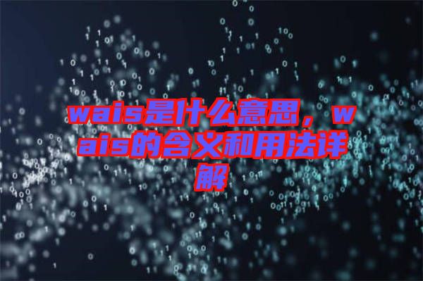 wais是什么意思，wais的含義和用法詳解