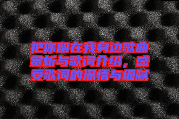 把你留在我身邊歌曲賞析與歌詞介紹，感受歌詞的深情與細膩