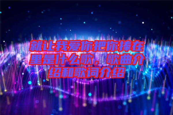 就讓我愛你把你捧在里是什么歌，歌曲介紹和歌詞介紹