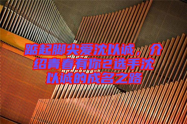 踮起腳尖愛沈以誠，介紹青春有你2選手沈以誠的成名之路