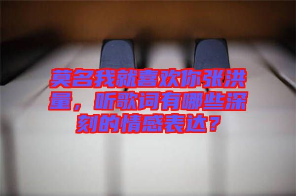 莫名我就喜歡你張洪量，聽(tīng)歌詞有哪些深刻的情感表達(dá)？