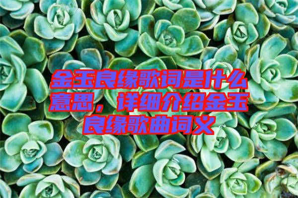 金玉良緣歌詞是什么意思，詳細介紹金玉良緣歌曲詞義