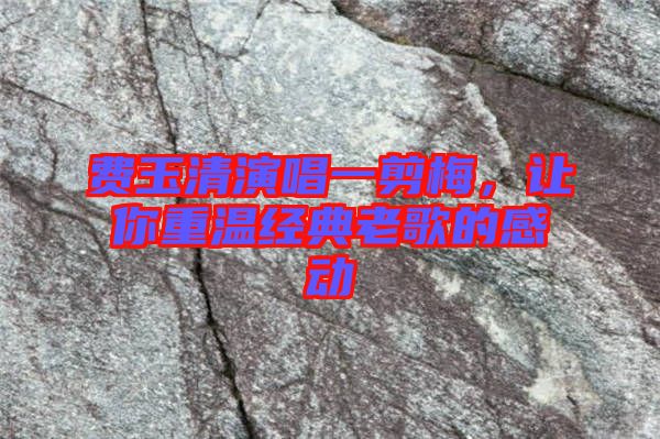 費(fèi)玉清演唱一剪梅，讓你重溫經(jīng)典老歌的感動