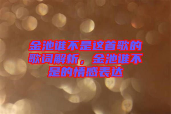 金池誰(shuí)不是這首歌的歌詞解析，金池誰(shuí)不是的情感表達(dá)