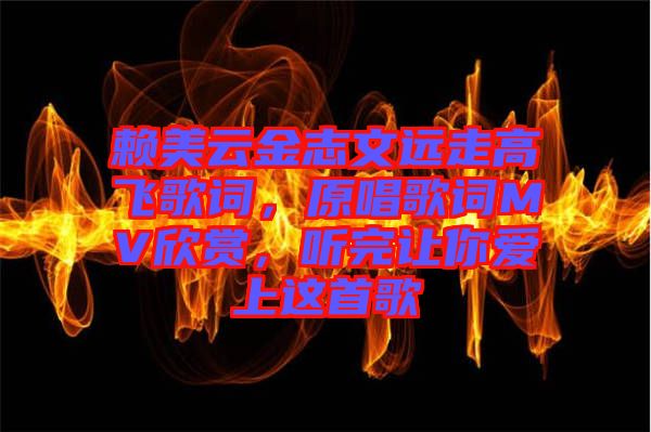 賴美云金志文遠走高飛歌詞，原唱歌詞MV欣賞，聽完讓你愛上這首歌