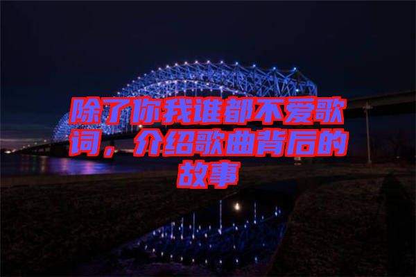 除了你我誰(shuí)都不愛(ài)歌詞，介紹歌曲背后的故事