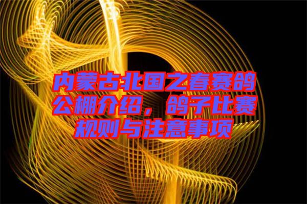 內(nèi)蒙古北國之春賽鴿公棚介紹，鴿子比賽規(guī)則與注意事項