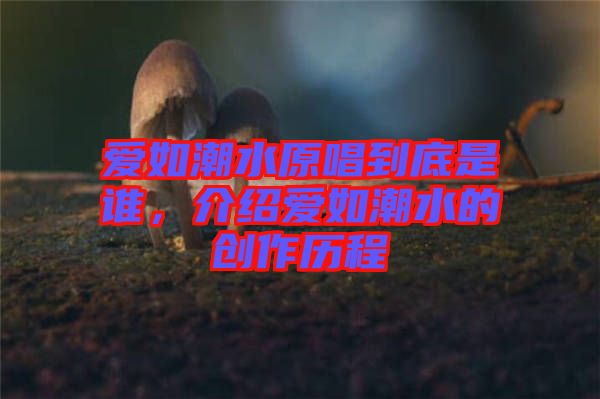 愛如潮水原唱到底是誰，介紹愛如潮水的創(chuàng)作歷程