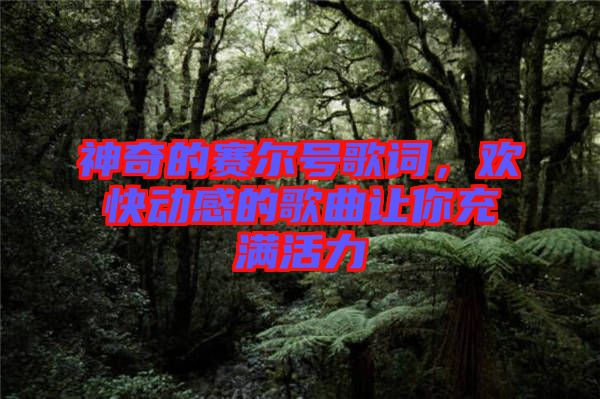 神奇的賽爾號歌詞，歡快動感的歌曲讓你充滿活力