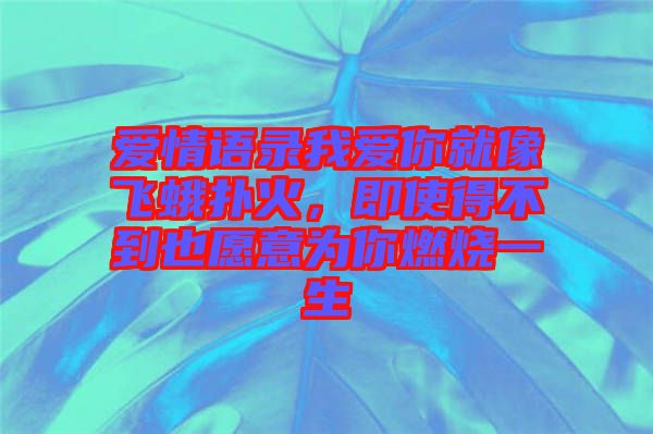 愛情語錄我愛你就像飛蛾撲火，即使得不到也愿意為你燃燒一生